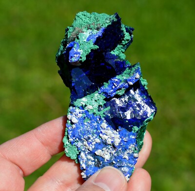 Azurit 167 Gramm - Milpillas Mine, Municipio de Cananea, Sonora, Mexiko