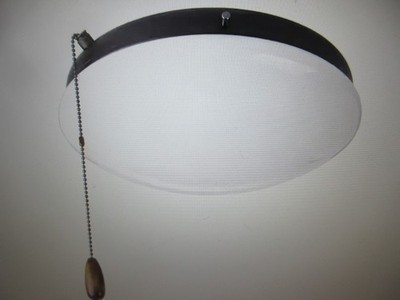 Progress Lighting Fan Light Kits Collection 2-Light Graphite Ceiling Fan Light