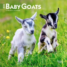 BrownTrout,  Baby Goats 2026 Mini Wall Calendar