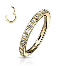 Precision Paved CZ Set Lined All Surgical Steel Hinged Segment Hoop Ring