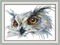 Captaincrafts Hots Cross Stitch Kits Patterns Embroidery Kit - Owl (stamped) on sale Captaincrafts Hots Cross Stitch Kits Patterns Embroidery Kit - Owl (stamped) on sale