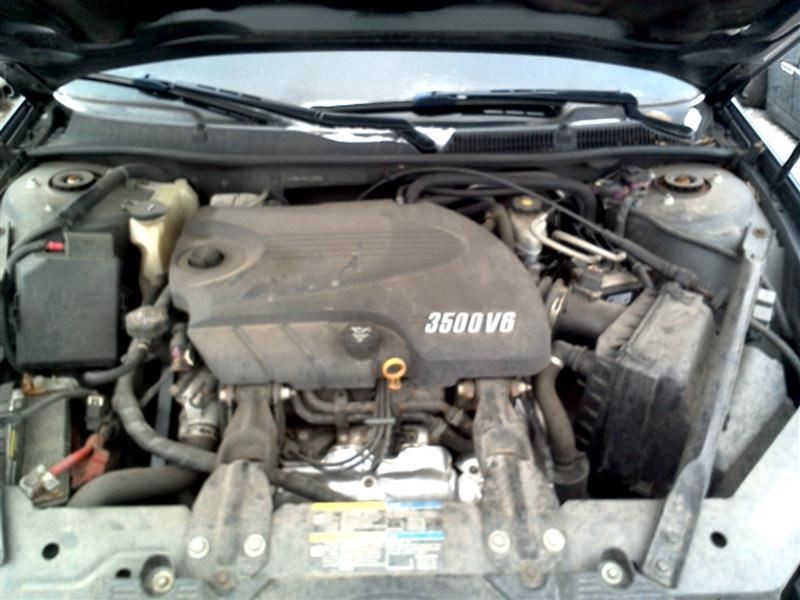 Picture 7 of 12