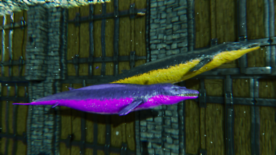 ARK Survival Ascended PvE PC/XBOX/PS5 BASILOSAURUS(BASILO) BLACK TOP