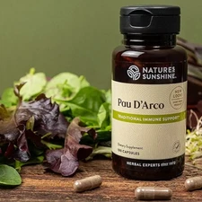 Pau D'Arco Supplement for Immune Support, Traditional Brazilian immune support