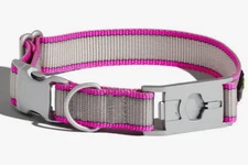 Whistle Go Twist and Go 2.0 Dog Collar