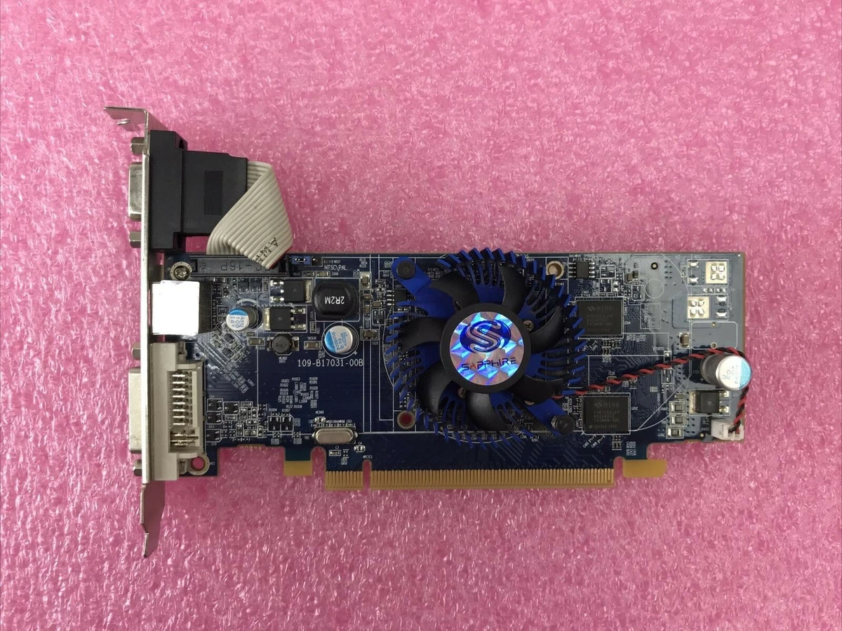 Sapphire Radeon X550 Advantage Carte graphique 256 Mo de RAM