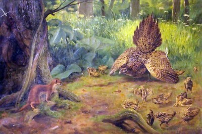 Art Oil painting Percy-Robert-Craft-Defence-not-Defiance birds landscape
