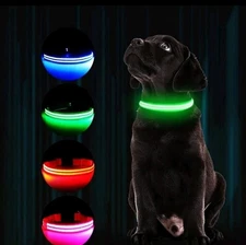 LED Glowing Dog Pet Rechargeable Waterproof Collar Night Light Large Blue