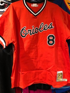 cal ripken mitchell ness jersey