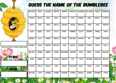 GUESS THE NAME OF BEE RUBBELKARTE 100 Spieler Quadrate Spiel Charity Ostern Frühling
