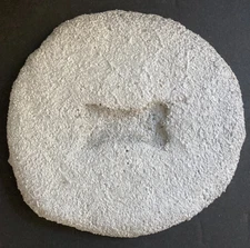 6" Stepping Stone with Bone Design