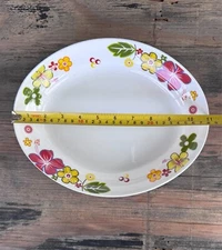 9" x 11" oval premium plastic melamine deep plate flower V236 (6-piece set)