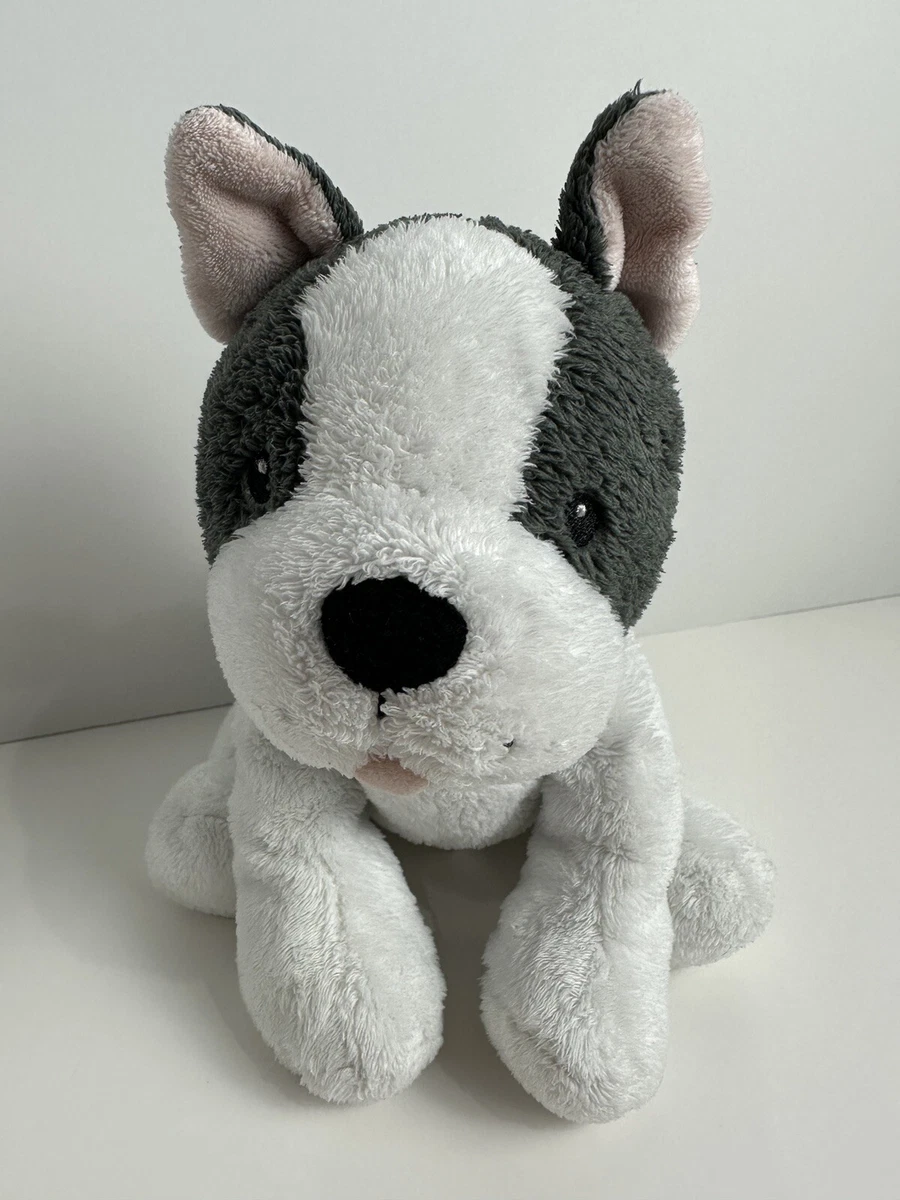 Grey baby store french bulldog