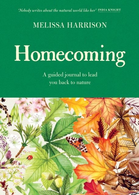 Homecoming by Melissa Harrison (Hardback Book)