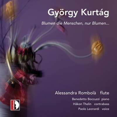 Boccuzzi, Benedetto - Blumen Die Menschen [Used Very Good CD]