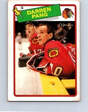 HOCKEY CARD OPC 1988 CHICAGO BLACK HAWKS GOALIE DARREN PANG ROOKIE CARD NO146