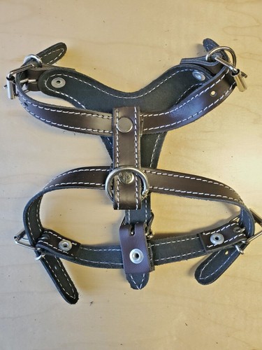 Hundegeschirr aus echtem Leder - Echtleder Made in Mexico - Bild 6 von 26