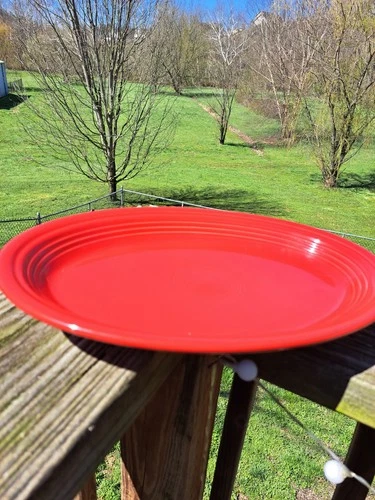 Fiestaware Scarlet Red Oval Platter 13.5"