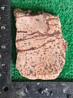 Rough Slab Dendritic Jasper 126g. 5/16" Thick Lapidary Cabbing #B-8 — photo 4