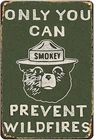 Vintage Metal Sign Smoky the Bear - Only You Can Prevent Wildfires, Funny Retro