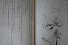 Bild 12 von 12
