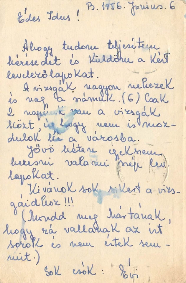 E0041 Rumania modelo pionero barco círculo postal papelería tarjeta 1956 Foto 2 de 2