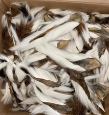 Bucktail Pieces Fly Tying 1/2lb  1lb   2lb ***GREAT PRICE*** Northern Bucktail