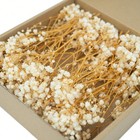 50PCS Mini Gypsophila Dried Flowers Resin Craft Wedding Decor Ivory White-UK