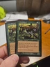 Wild Mongrel (2) Odyssey NM MTG Magic the Gathering