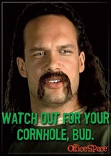 ATA-BOY REFRIGERATOR MAGNET  2.5” X 3.5” OFFICE SPACE LAWRENCE CORNHOLE NEW