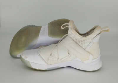 lebron nike men's soldier xii sfg