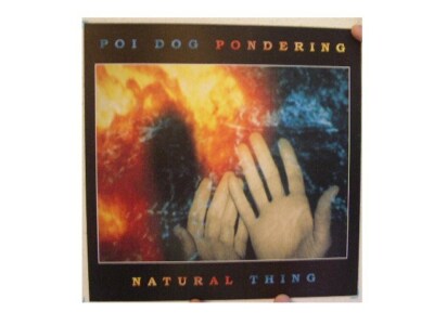 Poi Dog Pondering Natural Thing Poster Flach PoiDog