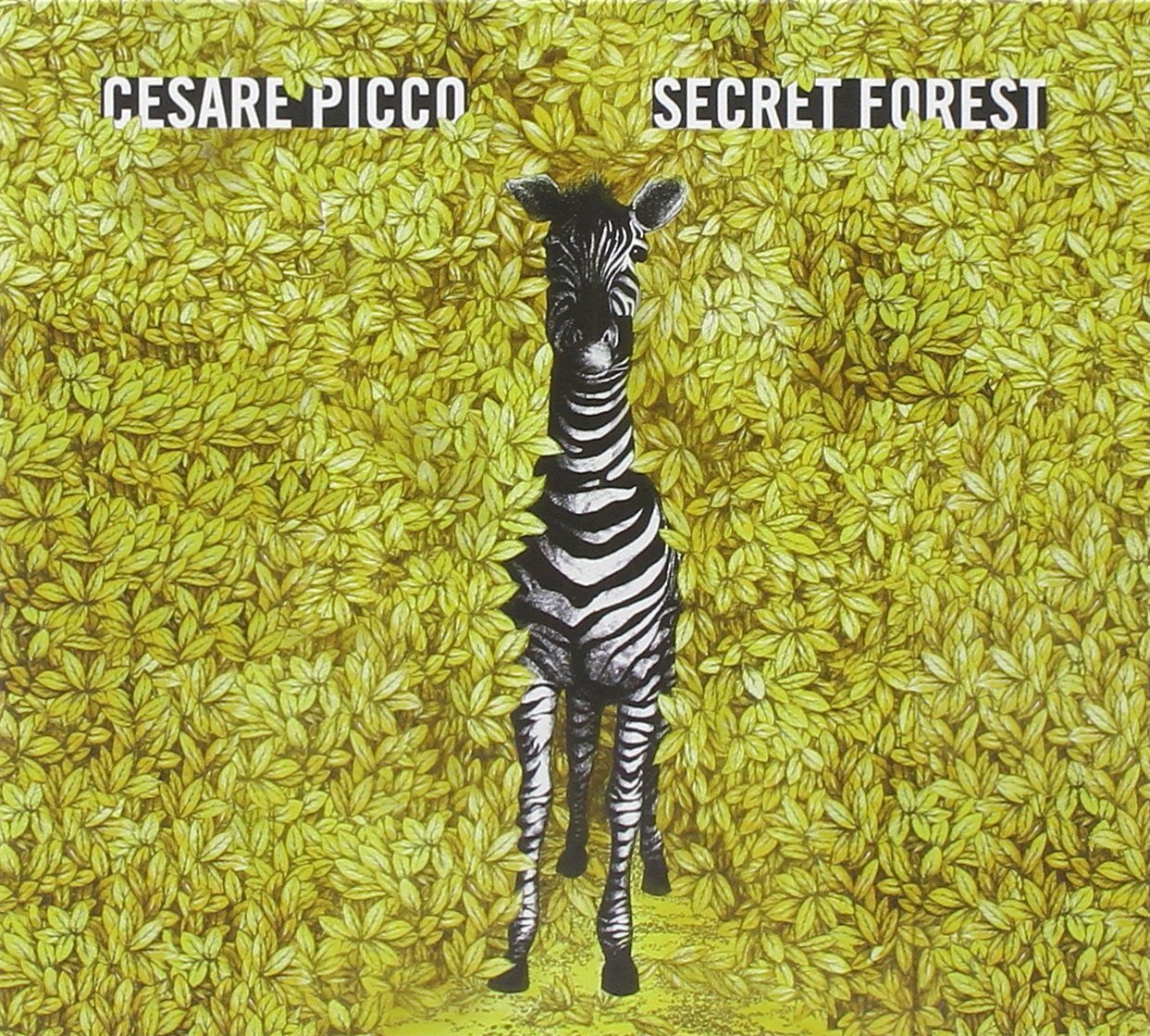 7024790 Audio Cd Cesare Picco - Secret Forest