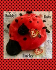 Vintage Ty Beanie Buddy & Beanie Baby Lucky The Ladybug — (Retired)