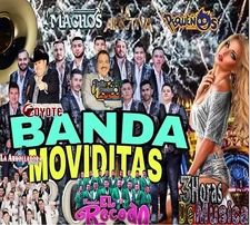 13# BANDAS bailables ritmo y sabor 50 exitos en una usb