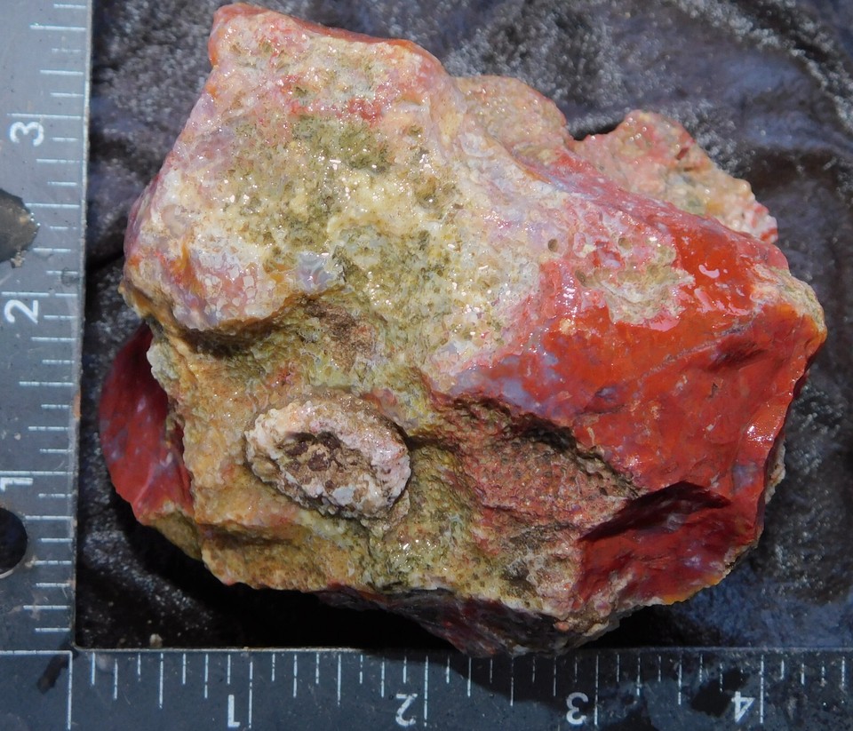 Rojo Agate lapidary cabbing rough chunk San Carlos Mexico 1 lb 10 oz eBay