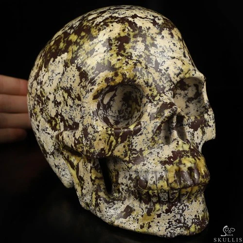 Lifesized 6.7" Hiso Jasper Hand Carved Crystal Skull, Realistic, Crystal Healing