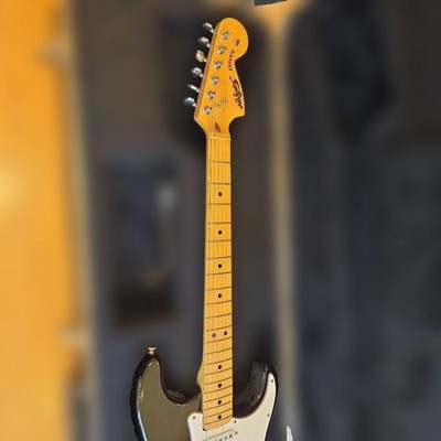 Navigator ESPARTO ストラト　ハードケース付き Navigator ESPARTO Strat hard case Safe Packing! | eBay