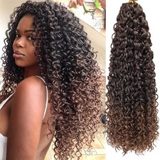 Curly Crochet Hair GoGo Curl Crochet Hair for Black Women 22 Inch T1B/30  De...