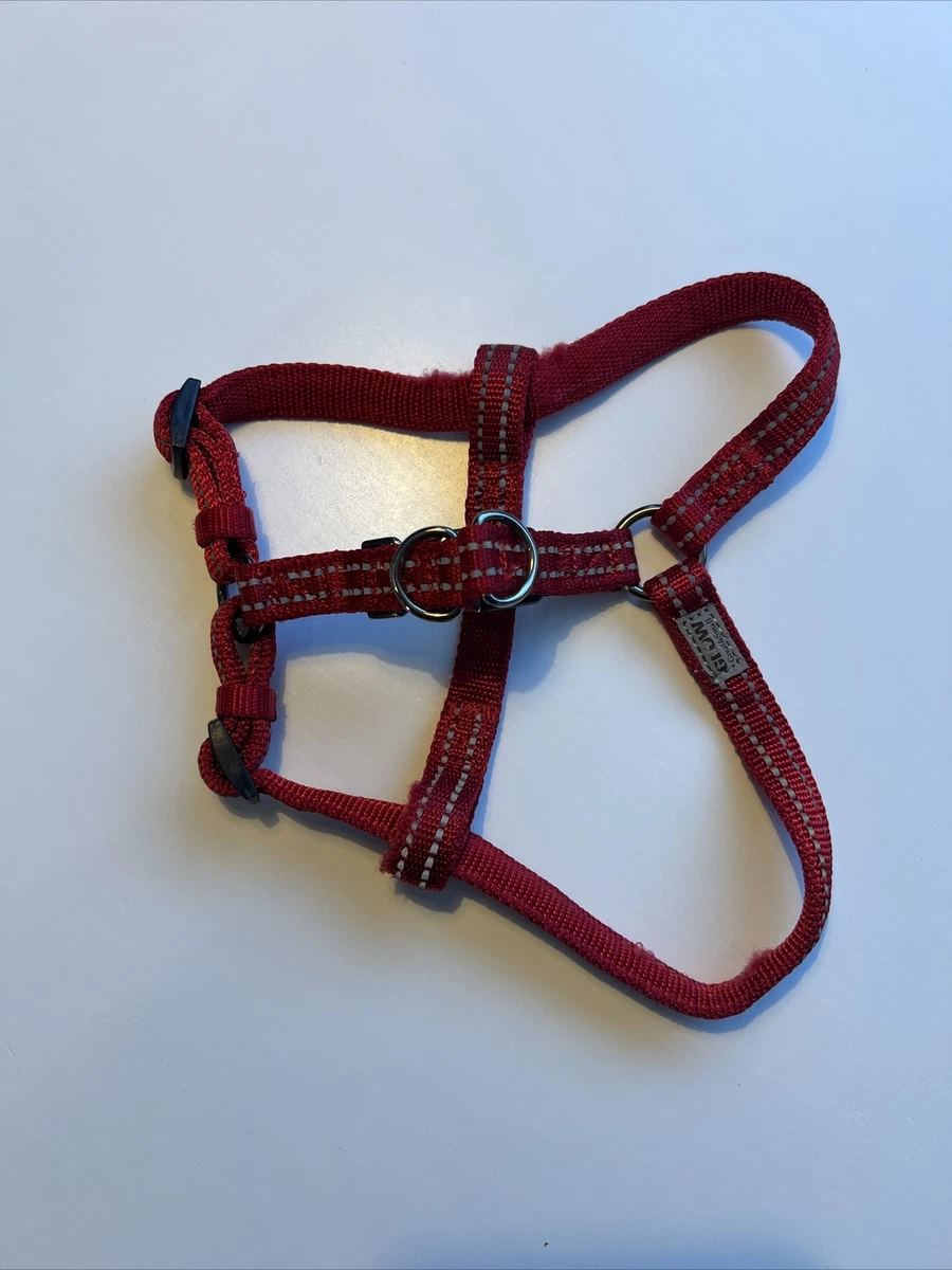 Great and small harness sale