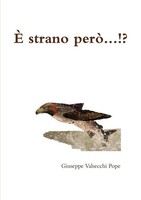 Giuseppe Valsecchi | È Strano PerÒ.!.?. | Taschenbuch | Italienisch (2014)