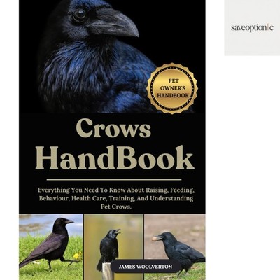 Your Complete Guide to Pet Crows: Training, Health Care, and Behavior Insights