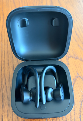Beats Powerbeats Pro 1st Gen Wireless Earbuds Black A2048 | eBay