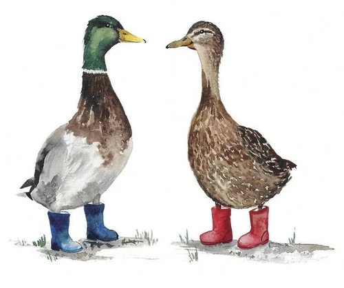 Ducks in Wellies Self Adhesive Dog Sticker