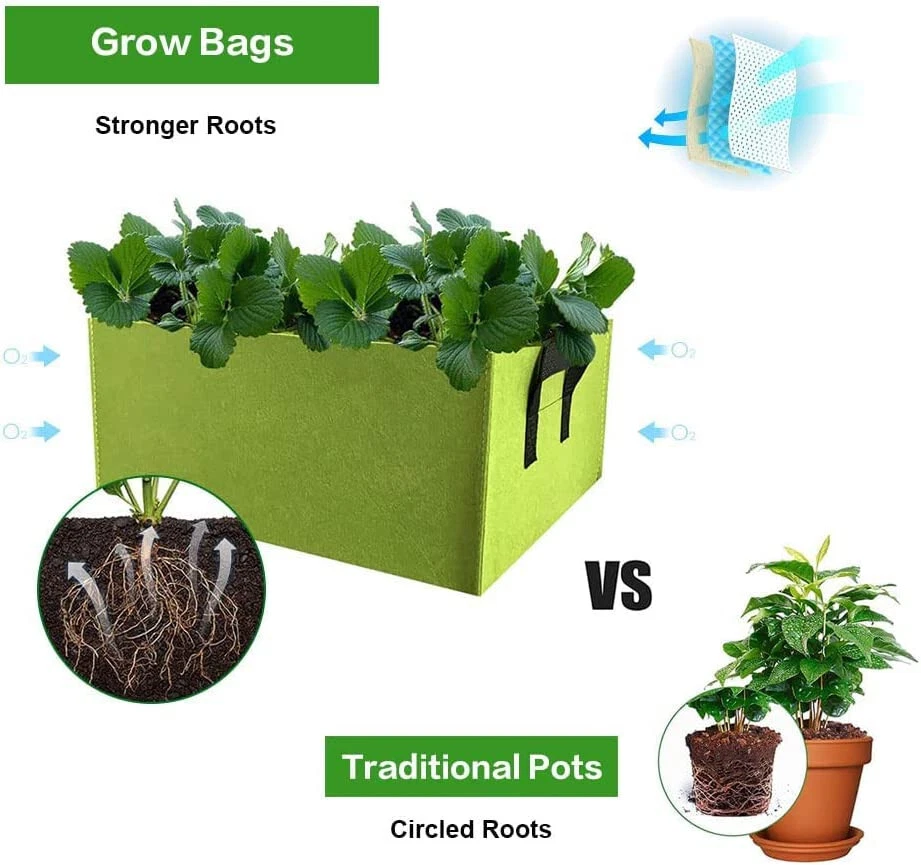Update 157+ grow bags vs raised beds latest 3tdesign.edu.vn