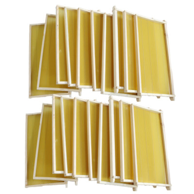 #ad Assembled 20 Bee Foundation Deep Bee Hive Wax Foundation Bee Hive Frames w Wire $91.76