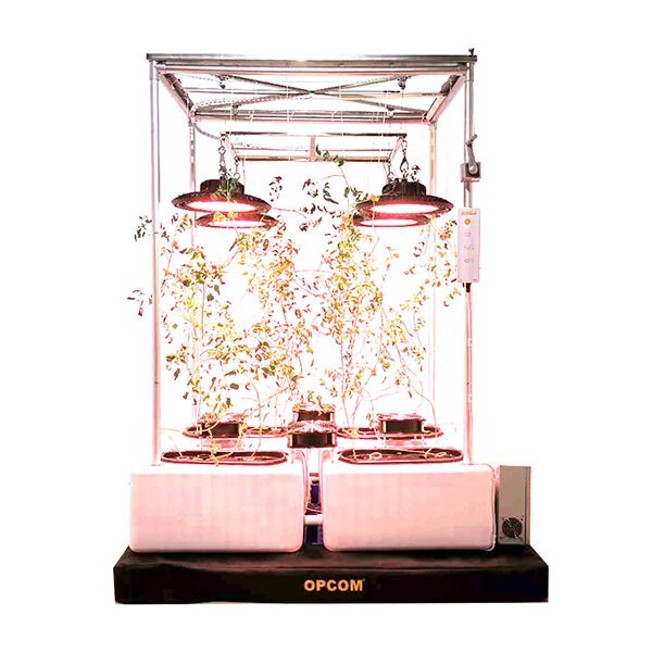 OPCOM AEROPONICS SYSTEM Pallet. Great for growing tomatoes large plants