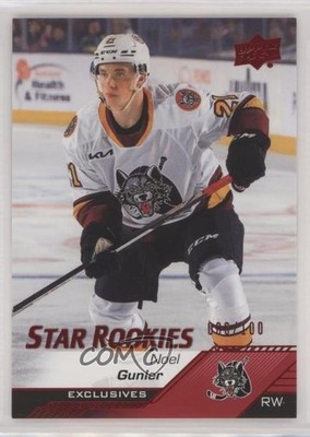 2022-23 Upper Deck AHL Star Rookies Exclusives 88/100 Noel Gunler #148 1l80