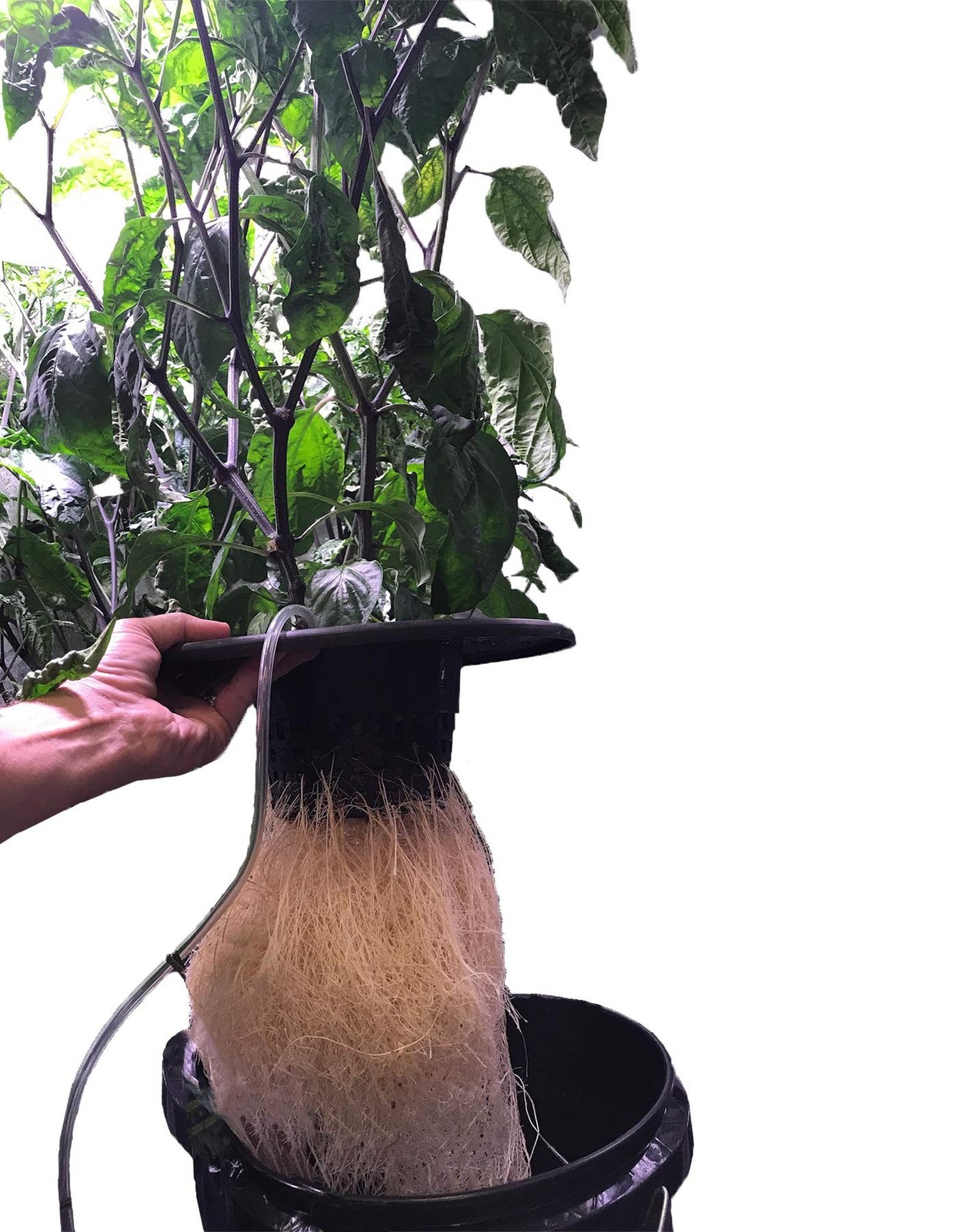 Viagrow® 6 in. Mesh Pot Bucket Lid Insert for 3.5 & 5 Gal. Hydroponic Bucke