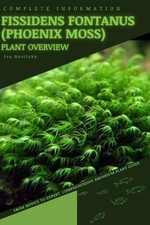 Fissidens fontanus Phoenix Moss : From Novice to Expert. Comprehensive Aquarium
